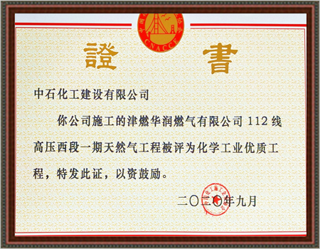 2020年化学工业优质工程