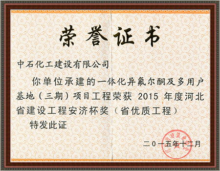 2015年一体化异氟尔酮安济杯(省优工程)